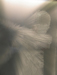Iceman (detail) - 2007